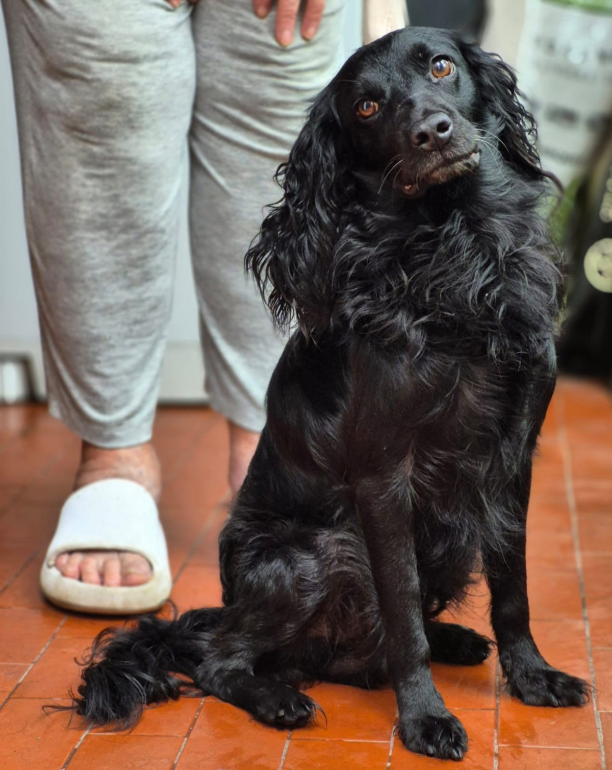 Foto